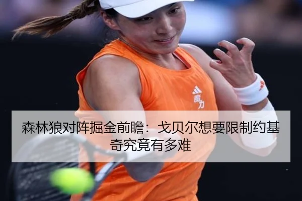 森林狼对阵掘金前瞻：戈贝尔想要限制约基奇究竟有多难