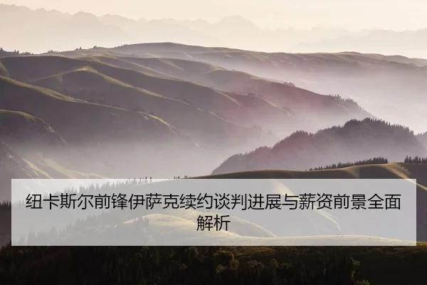 纽卡斯尔前锋伊萨克续约谈判进展与薪资前景全面解析