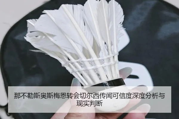 那不勒斯奥斯梅恩转会切尔西传闻可信度深度分析与现实判断