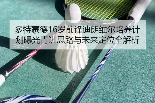 多特蒙德16岁前锋迪朗维尔培养计划曝光青训思路与未来定位全解析